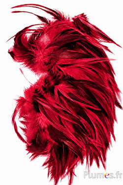 Hahnenkreuz Badger - 10-15 cm - karminrot